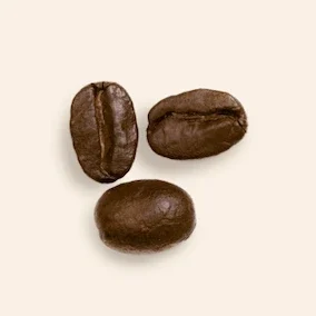 arabica bean sample suntayo