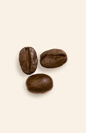arabica bean sample suntayo