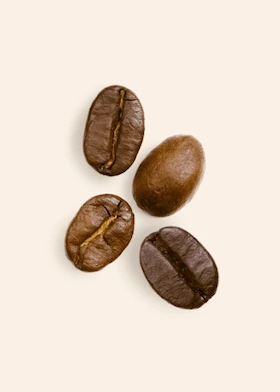Robusta bean sample suntayo